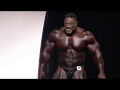 Roelly
