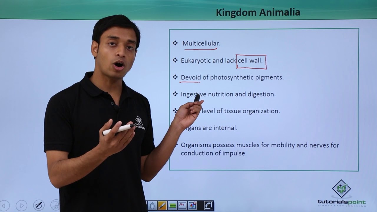 Class 11th – Kingdom Animalia – Characteristics | Biological Classification | Tutorials Point