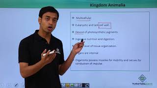 Class 11th – Kingdom Animalia – Characteristics | Biological Classification | Tutorials Point