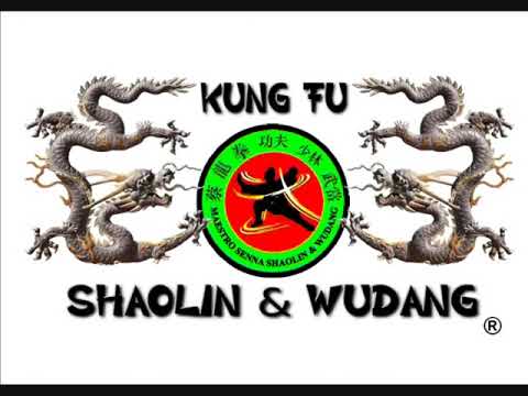 Kung Fu Shaolin 北蟷螂拳 Northern Praying Mantis Little 中國功夫 Master Paty Lee.