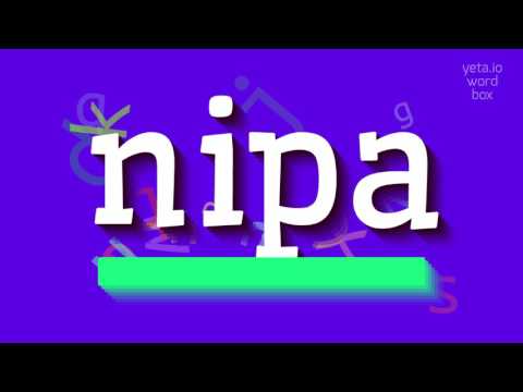 How to say "nipa"! (High Quality Voices)