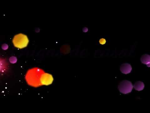 Brigas de casal 🐕🆚🐩