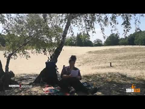 7. SuedLese bei Hamburg Journal (2. Juni 2022)