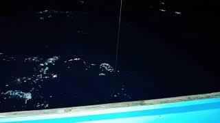 preview picture of video 'Candat sotong di laut Terengganu....'