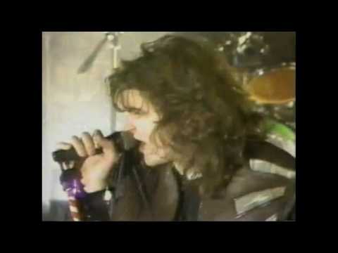 Jersey - Gospodari Rata