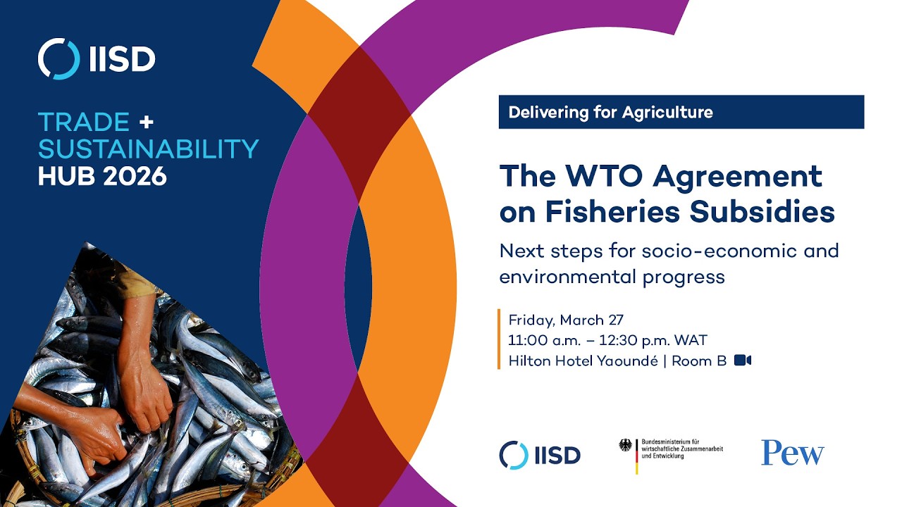 The WTO Agreement on Fisheries Subsidies: Next steps for socio-economic and environmental progress