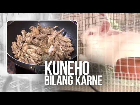 download lagu mp3 mp4 24, download lagu 24 gratis, unduh video klip 24