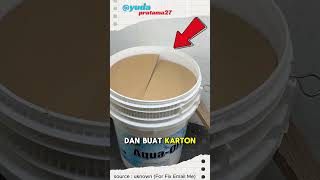 Download lagu mouse trap idea using used bucket #shorts #viralvideo mp3 Download lagu mouse trap idea using used bucket #shorts #viralvideo mp3