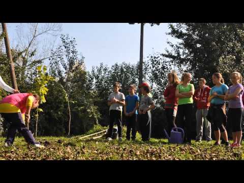 Bajnokfa ültetés MVSC 2014