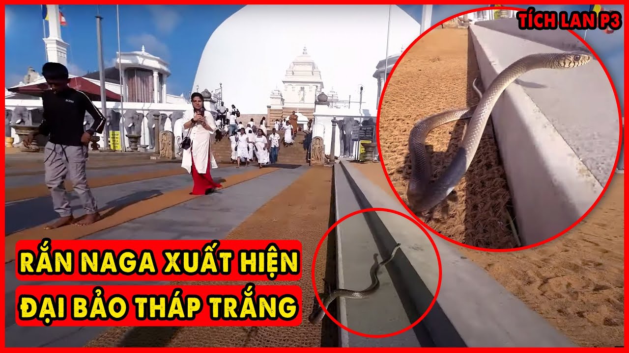 Thần Rắn Naga Bất Ngờ Xuất Hiện tại Đại Bảo Tháp Trắng Ruwanwelisaya | Phật Đảo Sri Lanka P3
