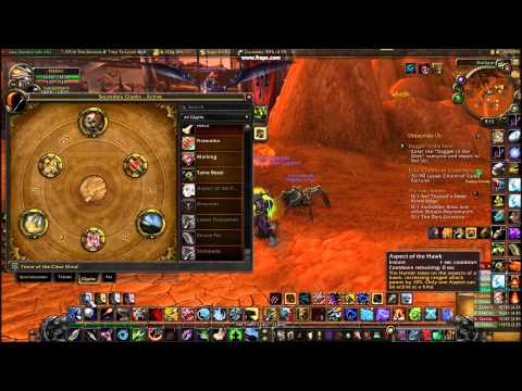 Fekbrez ; bm pvp hunter 5.2 set-up