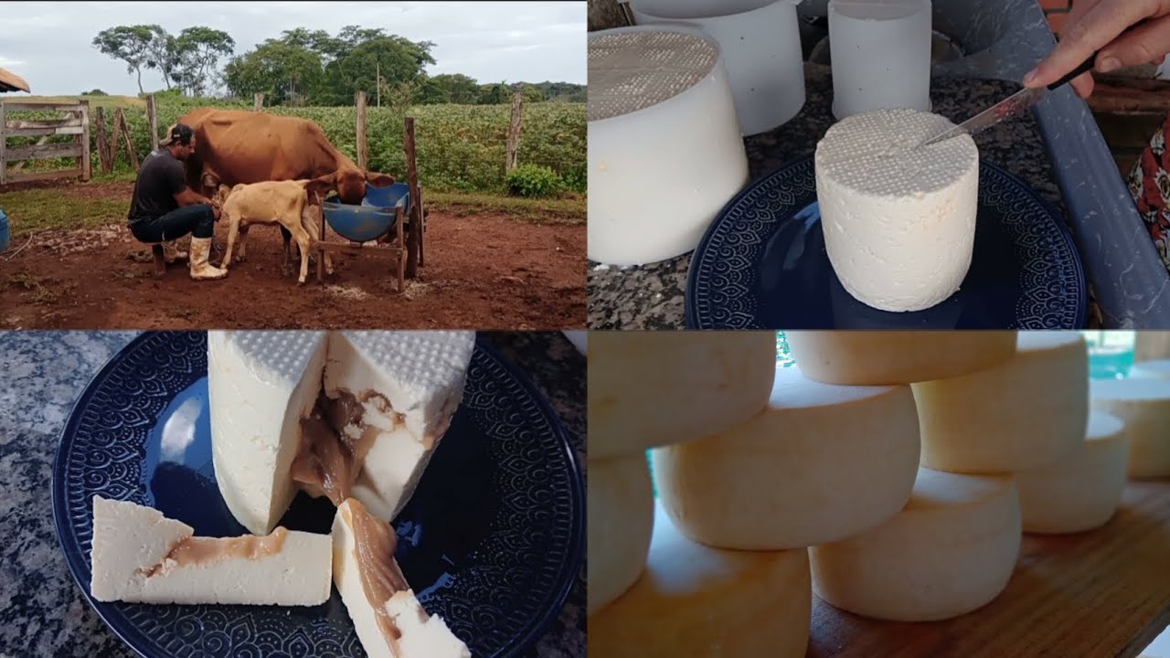 lida na roça/ Queijo trufado com doce de leite.com Dicas do queijinho da Bucaina. #queijo