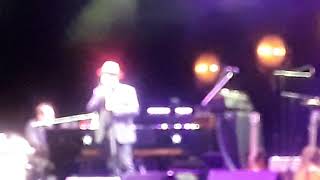 You Shouldn&#39;t Look at Me that Way ELVIS COSTELLO AND THE IMPOSTERS  3/11/2018 PORT CHESTER, NEW YORK