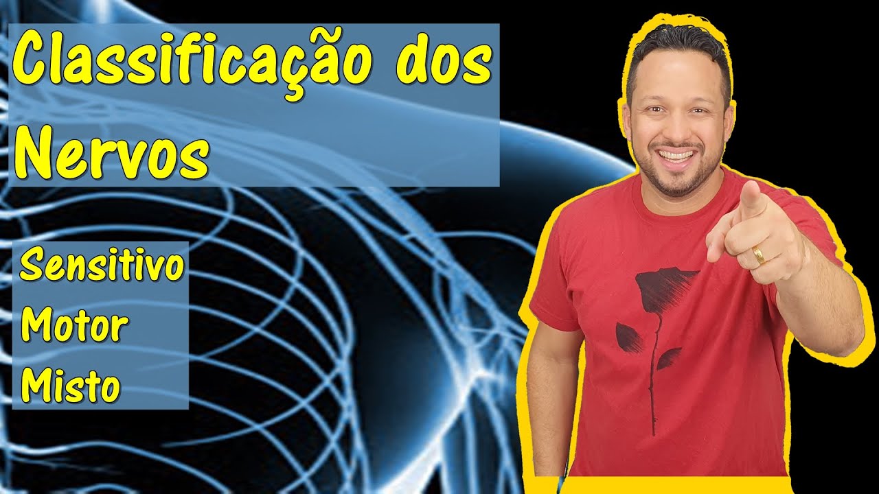 Classificação dos Nervos - Sensitivo, Motor e Misto - Sistema Nervoso Periférico - Fisiologia Humana