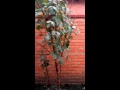 Geksagen'у купили трехэтажную кровать, епа-мать. Geksagen'у купили трехэтажную кровать, епа-мать.