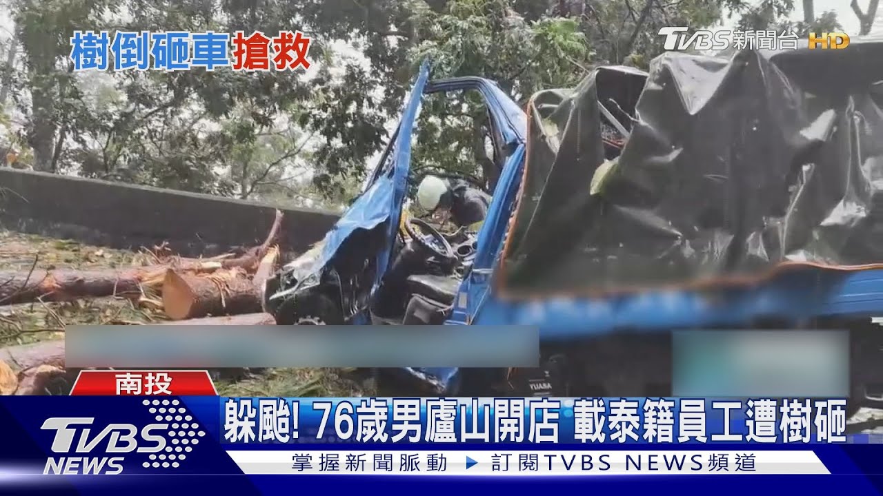 躲颱風遭樹砸! 廬山老闆受困女員工死亡