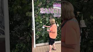 Angela gets Champagne Through the Wall | Star Princess Sanctuary Bell Ringing Experience 🍾🌸