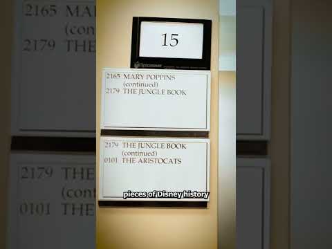 The REAL Disney Vault 😱 (explained)