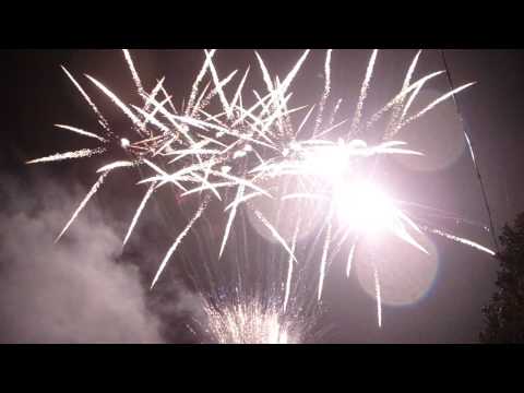 100 Shots S Shape Brocade King with Brocade&Blue Bouquet