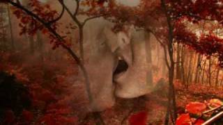 Une nuit ne suffit pas     Frederic Francois