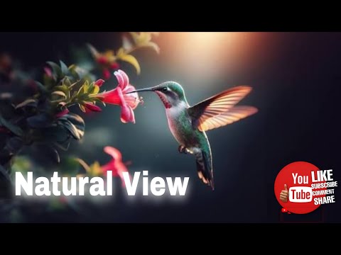 Natural View | Life With PD    #comment #share #subscribe #like #viral#nature #naturelovers #natural