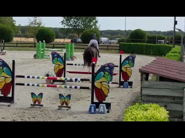 Jument de 6ans 