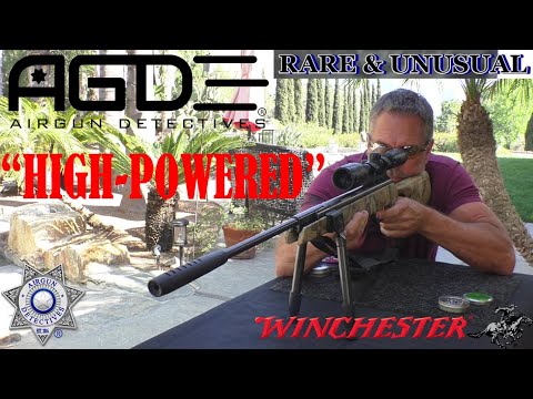 Winchester SXR2 Review