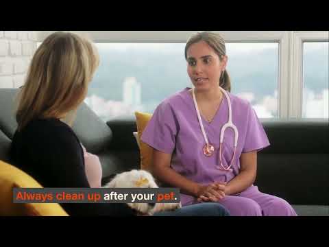 How to Reduce Your Pet's Carbon Pawprint — Eco-Friendly Tips for Pet Owners