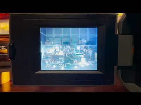 Oh, Hooray - Torment the Butterfly  l  NPR Tiny Desk Contest 2021