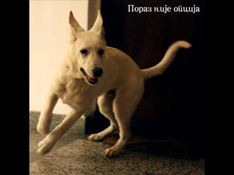 Skabo - Poraz nije opcija.wmv