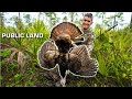 COMBAT HUNTING Florida PUBLIC LAND Cinematic Video