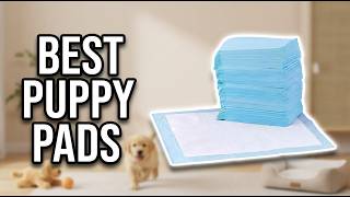 Best Puppy Pads for Dogs 2026: Top 5 Leak-Proof Pads for Tra
