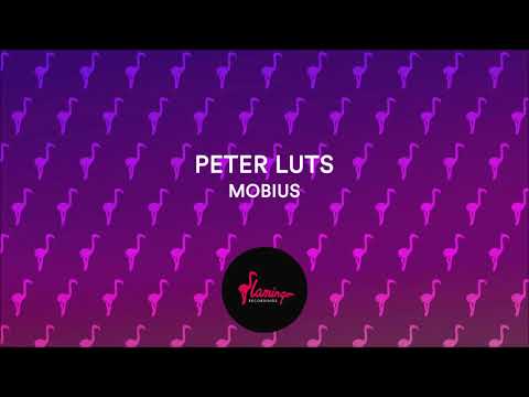Peter Luts - Mobius (Flamingo Recordings)