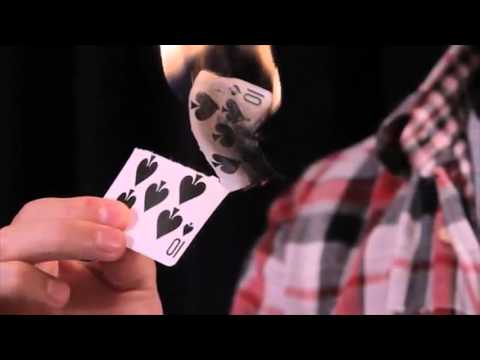 Phoenix Ashes by David Blanco and Asier Kidam