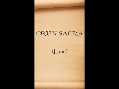 Vídeo: Frase Latim: perguntas e respostas sobre expressões