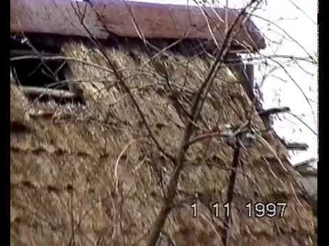 Ostatnia strzecha na wsi Smarków  -  01.11.1997