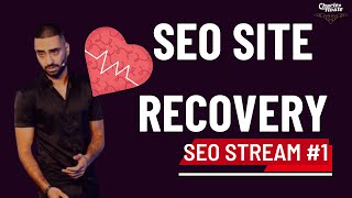 SEO Website Recovery Guide - Kasra Dash thumbnail