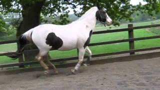 *RIP* Jewel - "She's Not Just A Pretty Face"