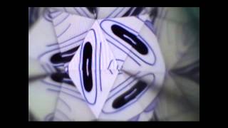 Vídeo Caleidoscópico - The Japanese Popstars - Let Go