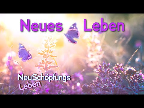 Neues Leben - NeuSchöpfungsleben mit Uwe Breuer