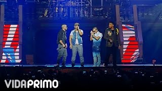 DON OMAR feat DADDY YANKEE / YANDEL / ARCANGEL - YO SOY DE AQUI @ HECHO EN PUERTO RICO