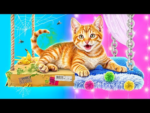 We Build a Secret Room for Cat! Makeover of Homeless Kitten!