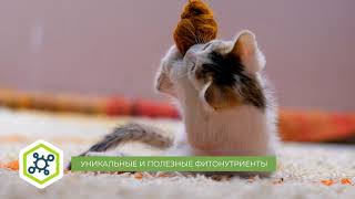 Alleva Holistic Kitten с курицей и уткой для котят