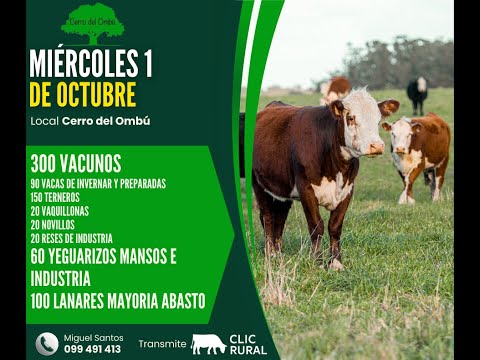 01/10/2025  Feria Mensual - Cerro del Ombu / Local Cerro del Ombú - Tacuarembó