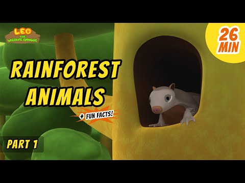 Witness21 Editor  2020 10 23