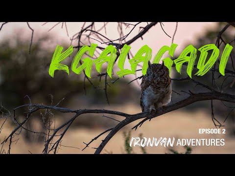 Kgalagadi Trip. Mabuasehube with Will of Africa Adventures: Episode 2