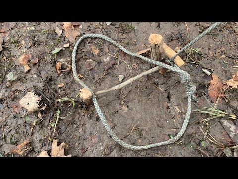 How To: Spring Snare Trap Demo for Birds/Animals