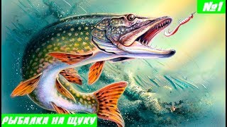 Ловля щуки в приморском крае весной