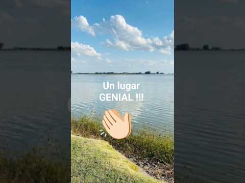 Vamos a Laguna de Navarro en Buenos Aires!!!! #naturaleza #turismo #shorts