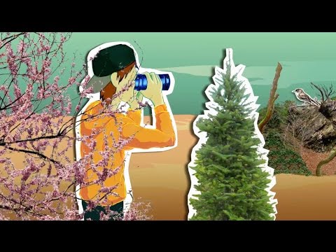 The Process of Science